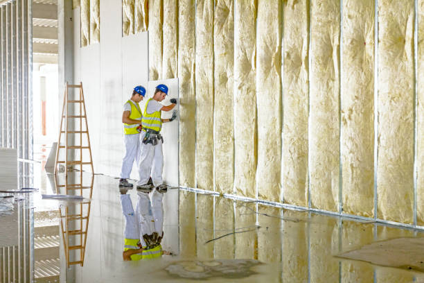 Best Energy Efficiency Solutions in Rochelle, GA